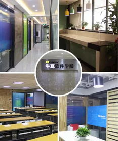 牛耳學(xué)院軟件工廠 專業(yè)軟件外包服務(wù)簡介